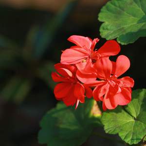 综合色就爱涩涩涩综合婷婷
